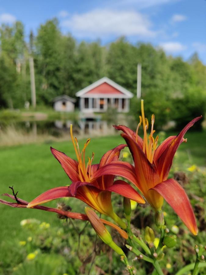 Hannunluhdan Lomamoekit Karijoki Buitenkant foto