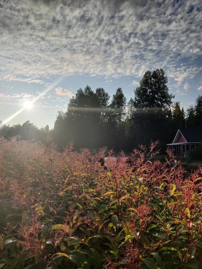 Hannunluhdan Lomamoekit Karijoki Buitenkant foto